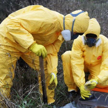 Экологические изыскания: введение